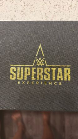 WWE Mini Belts