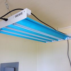 Vegetable Grow Lights By Grosite