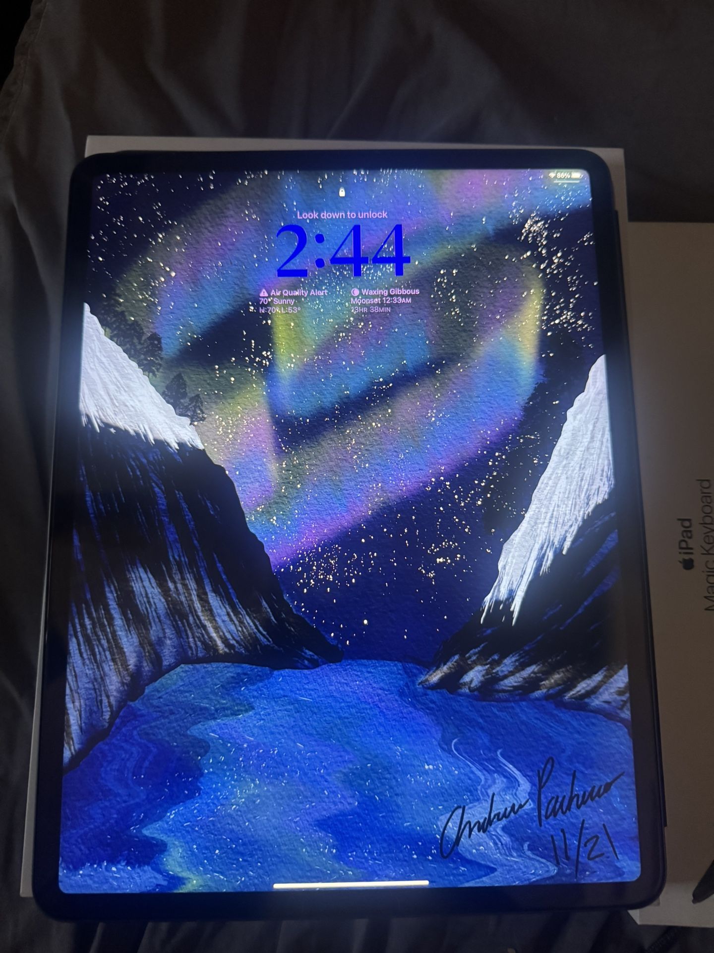 Apple iPad Pro 256 Gig 5th Generation  With Accessories 