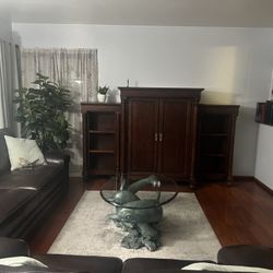 Living Room TV Entertainment Center 