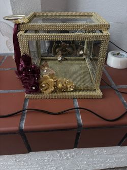 Gold And Wine Red Light Up Money Box