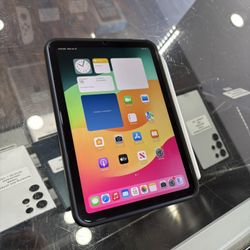 iPad Mini 6 WiFi & Cellular 256gb With Apple Pencil And Case 