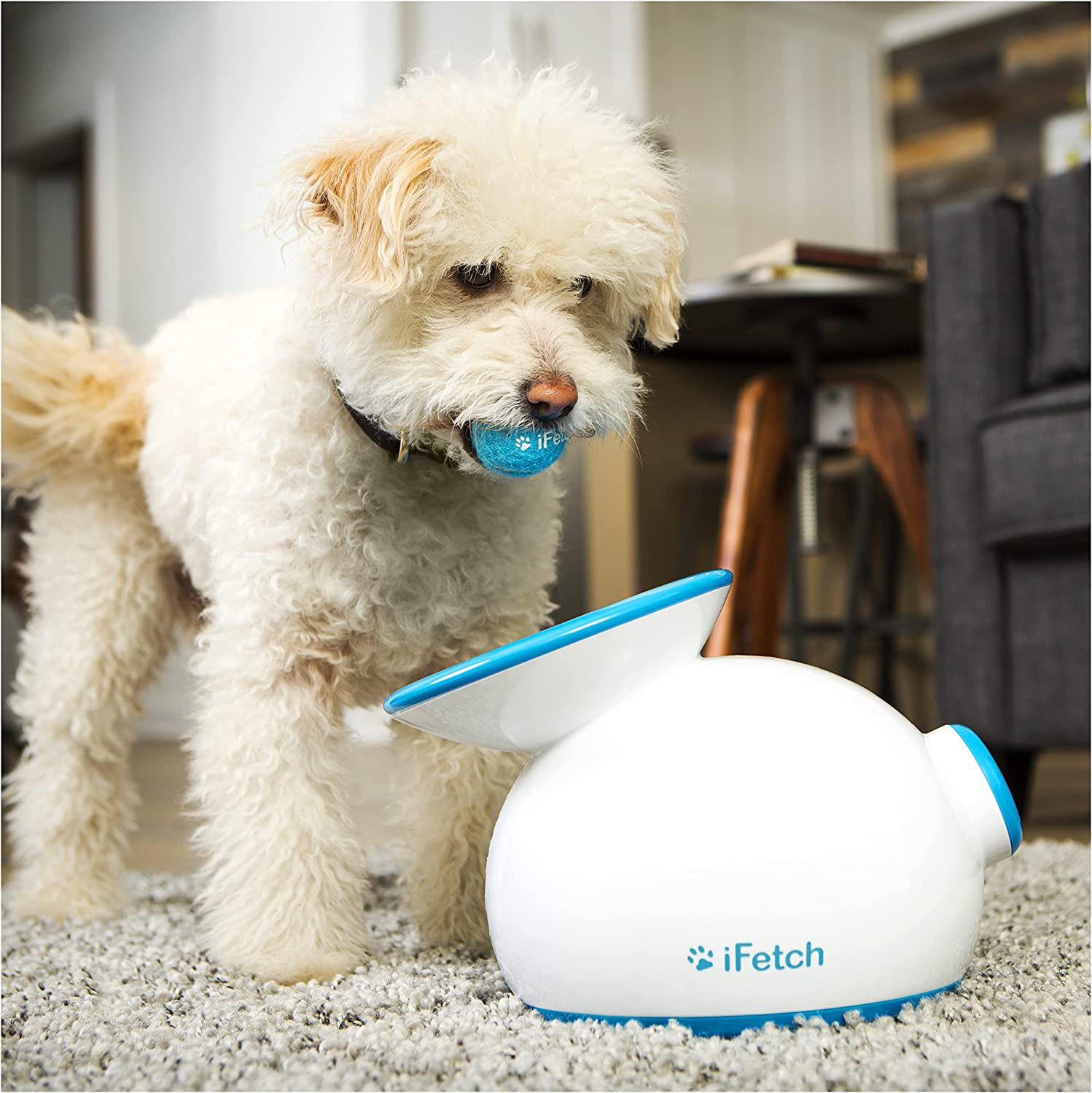 Ifetch  Ball Launcher For Dogs 