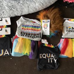June Pride Month Dog Costume 