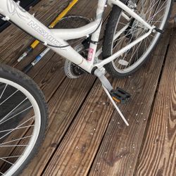 Nishiki Tamarack size small woman’s mountain bike