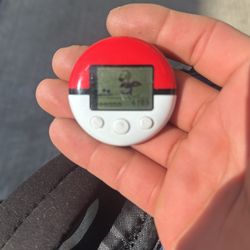 Pokewalker