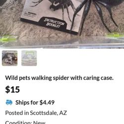  Walking spider