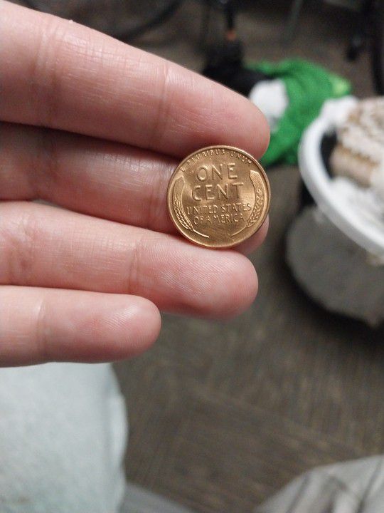 Brand New Wheat Penny