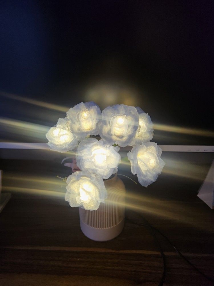 Light Up Roses