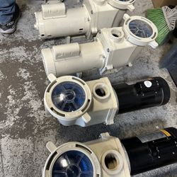 Pool Pumps