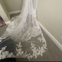 Lace Wedding Veil 