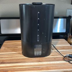 Cool And Warm Mist Humidifier