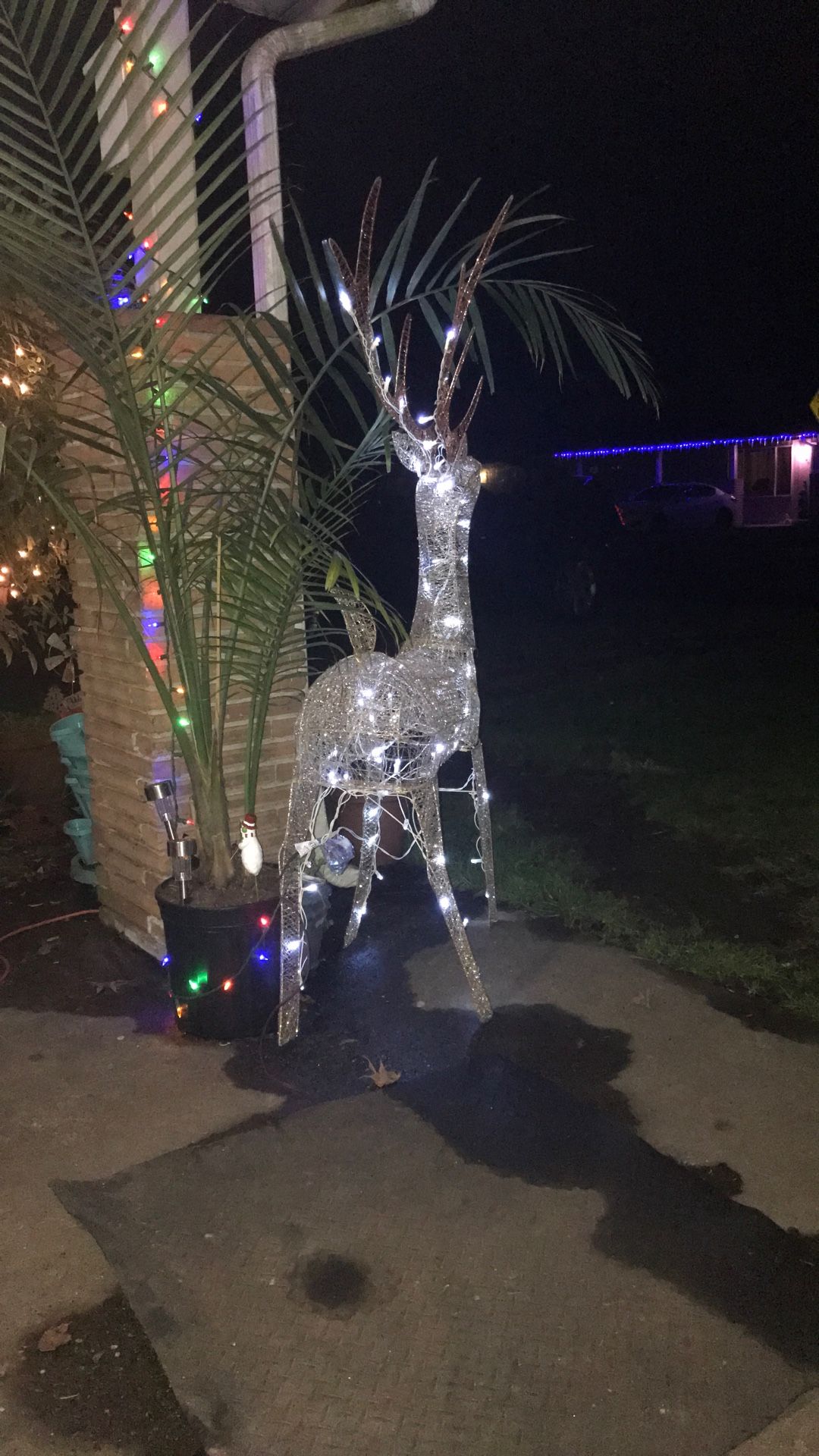 Christmas Decorations