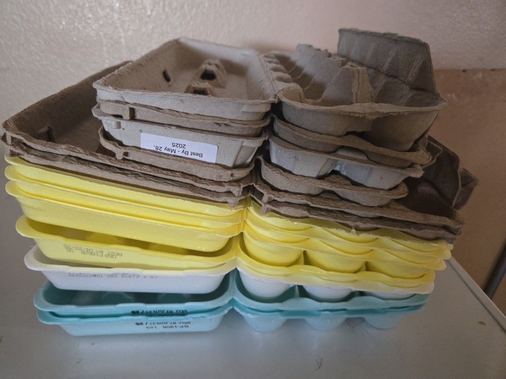 Empty Egg Cartons