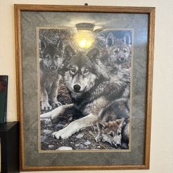 Wolf framed print 