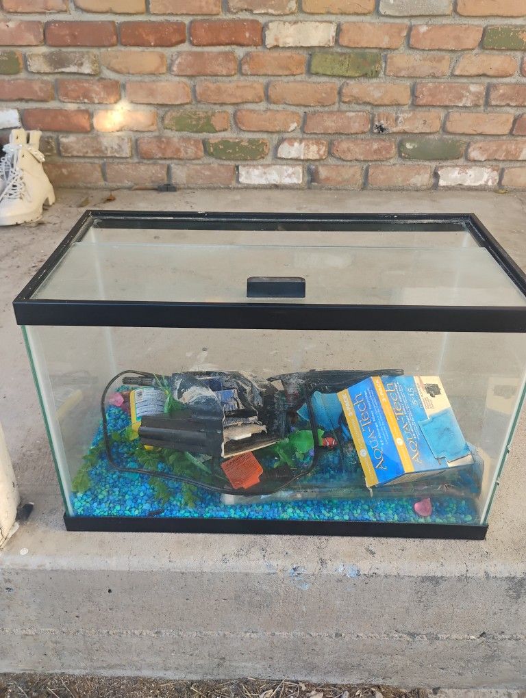 10 Gallon Aquarium