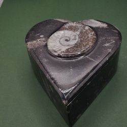 Heart Ammonit Orthoceras Container With A Lid 