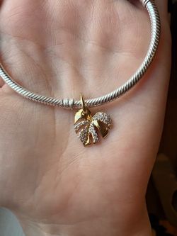 NEW Pandora bracelet and charm