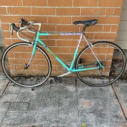 Tommaso Steel Frame Bicycle 52cm 