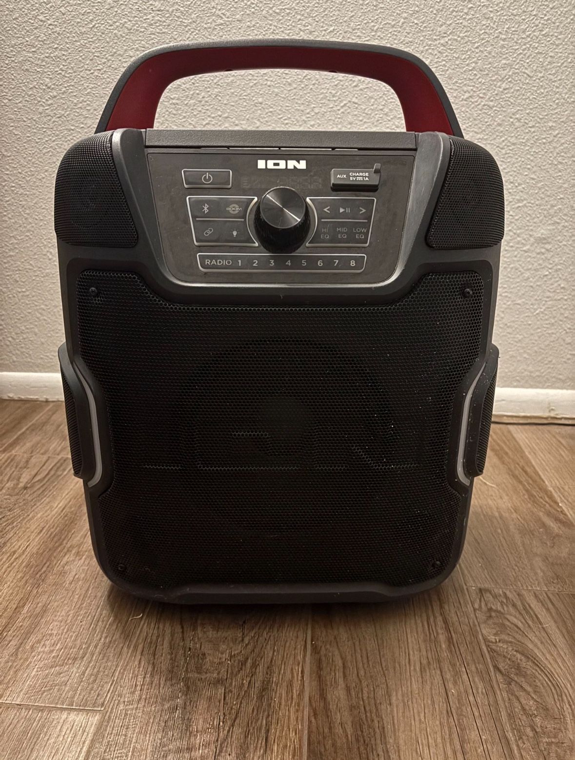ION pathfinder speaker