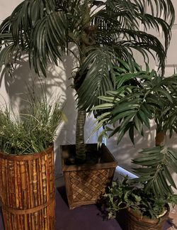 Plantas Artificiales