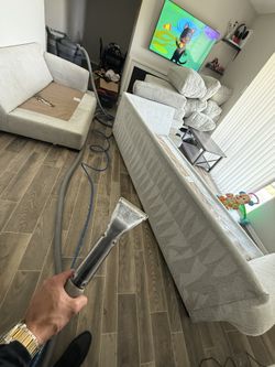 Couch’s Cleaner Shampoo