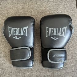 Training Gloves EVERLAST
