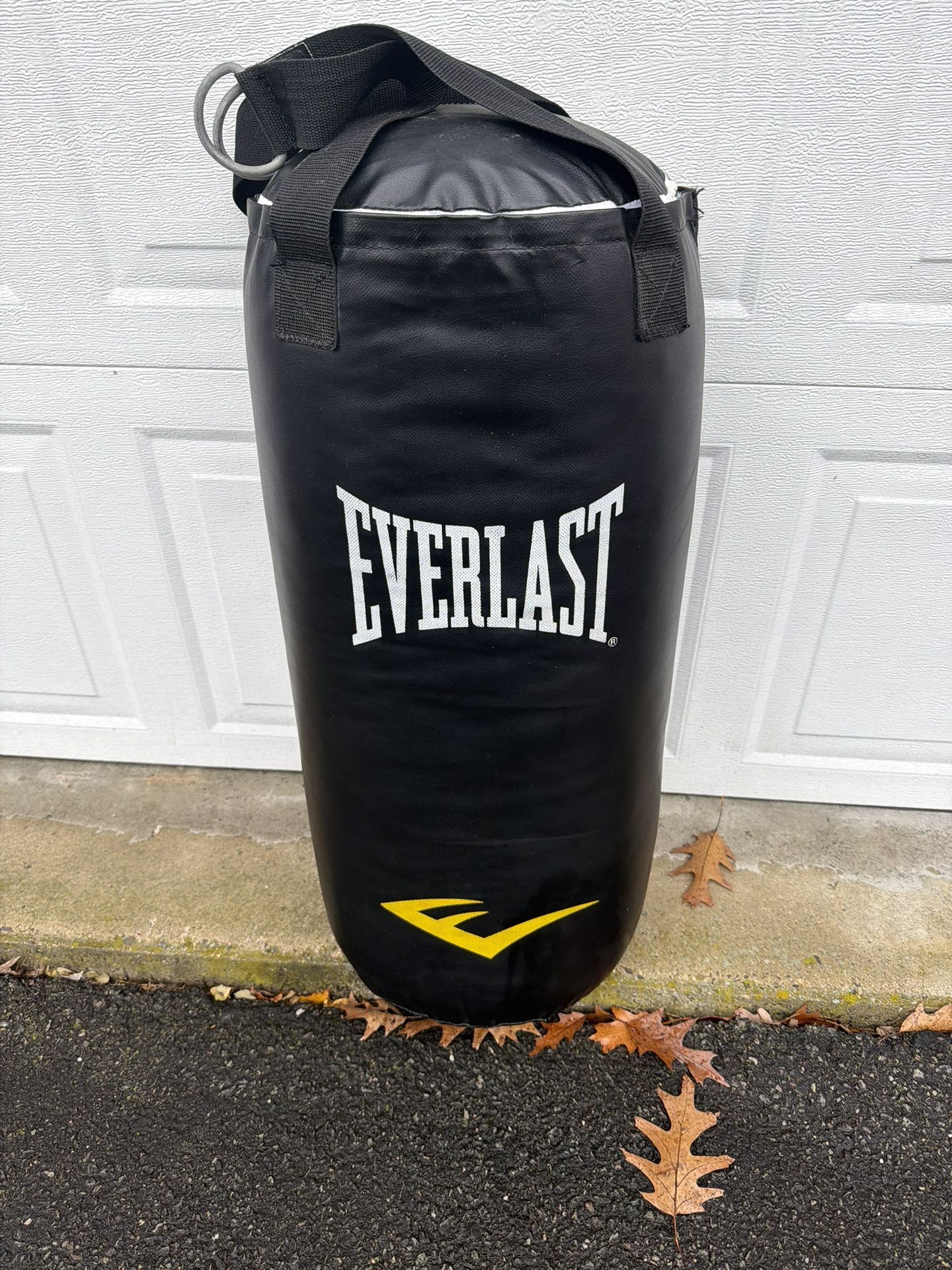 Everlast Punching Bag