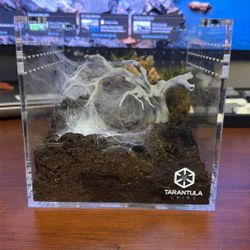 Tarantula Cribs 6x6 Inch Cube