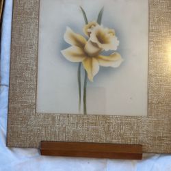 vintage Daffodil Picture