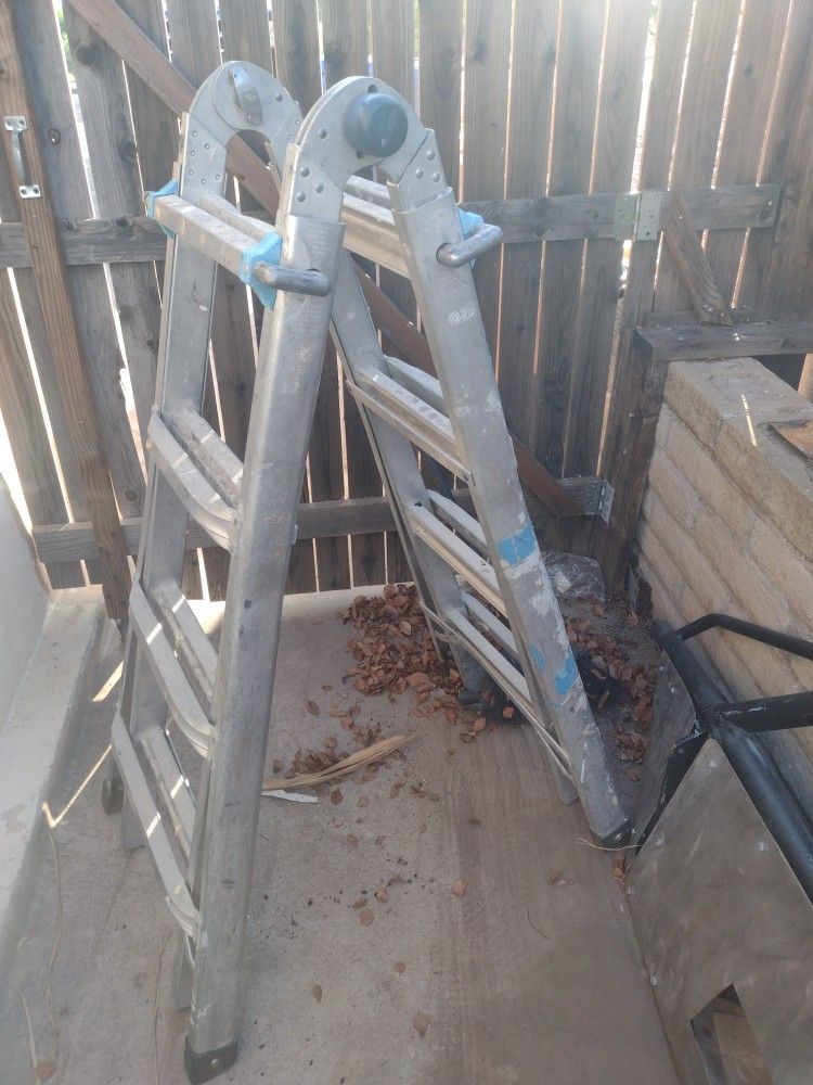 Foldable And Expandable Ladder