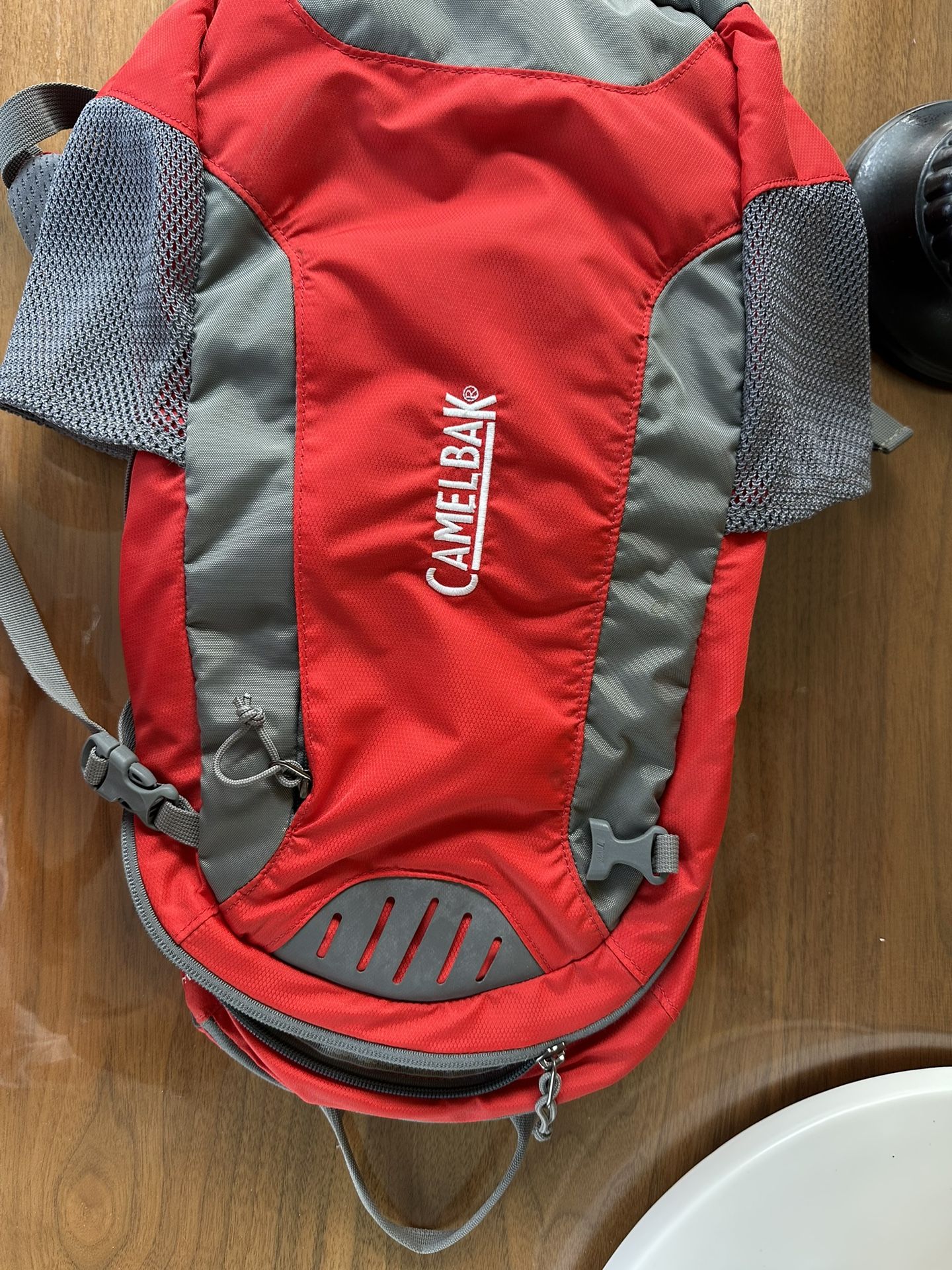 New Never Used Camel Backpack