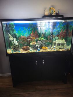 Fish Tank 50gallons