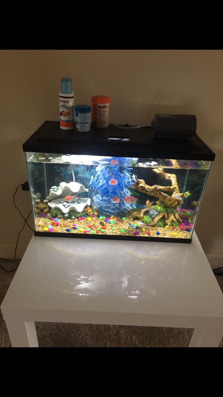 10 gallon aquarium with filter in good condition