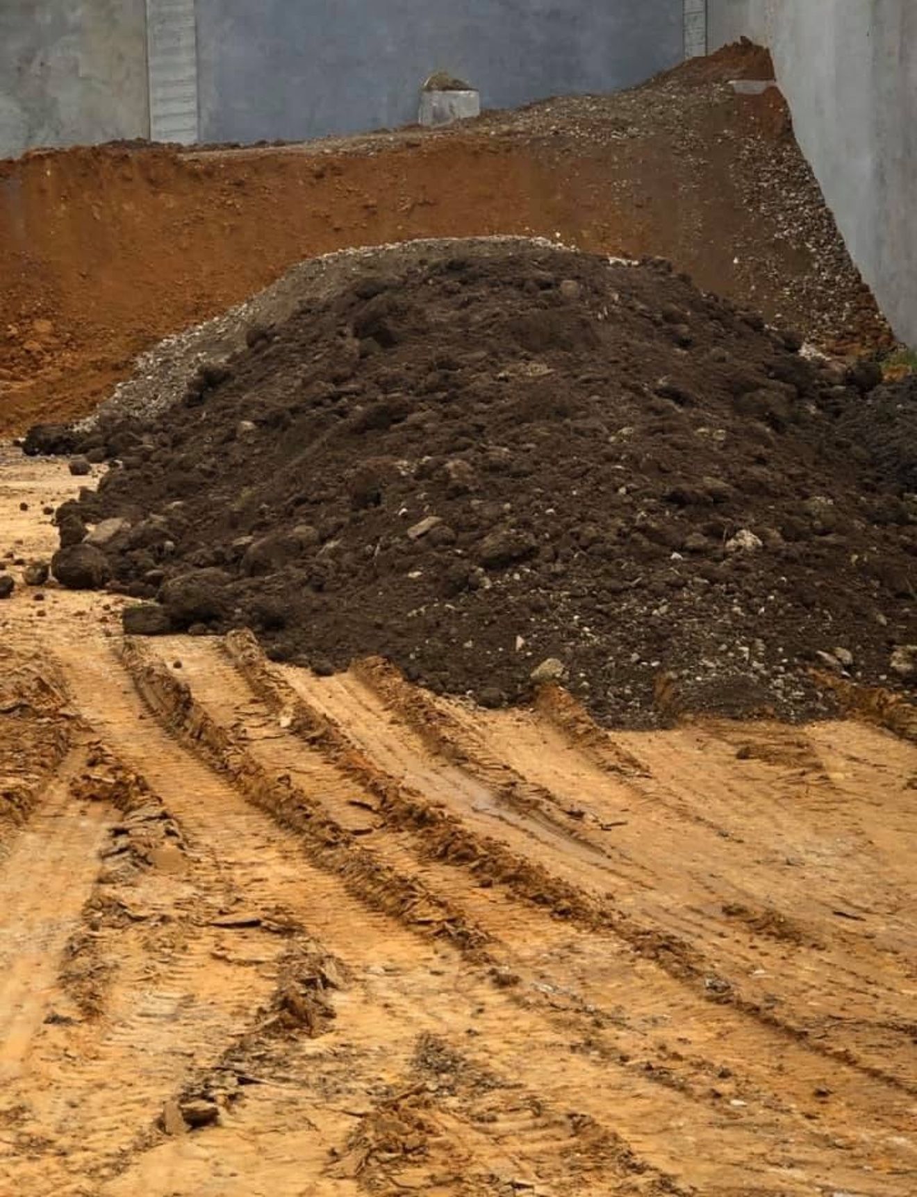 🚨🚨 Free Dirt Free Delivery 🚨