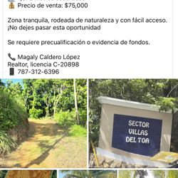 Land In Puerto Rico 