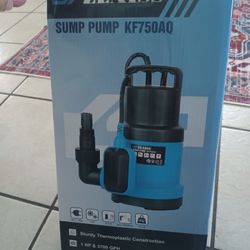 Sump Pump
