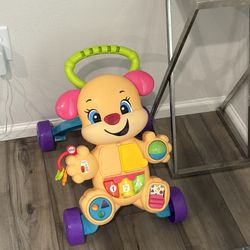 Baby Push Walker 