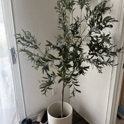 Faux Olive Tree