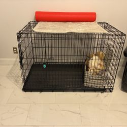Large Dog Cage