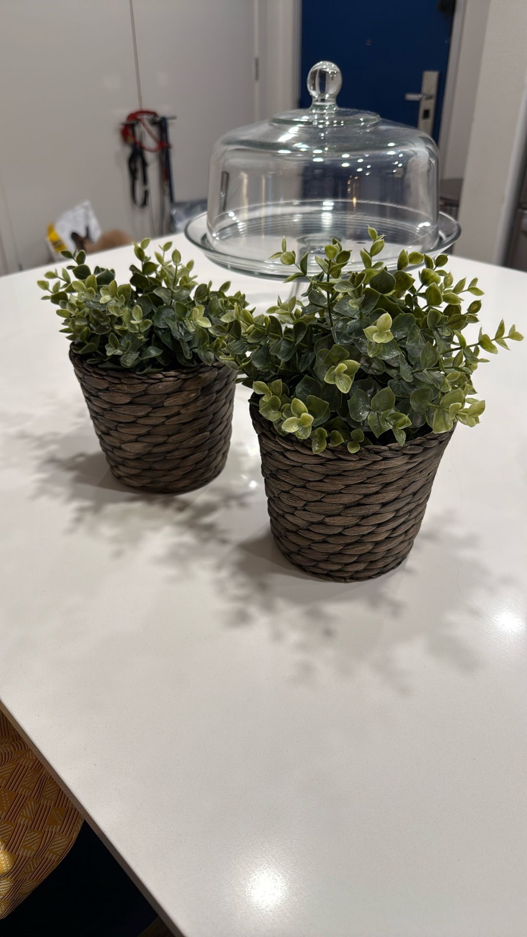 Fake Decorative Plant