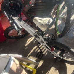 Freestyle Kids Bike