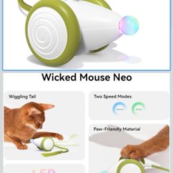 🔥new🔥 Interactive Cat Toys for Indoor Cats, Automatic Moving Kitten Toys, Wicked Mouse Neo Cat Toy with Tail & Lights, Pet Cat Supplies, Rechargeabl