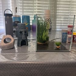 Fish Tank - Aquarium 