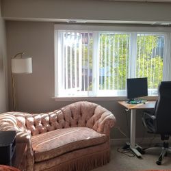 Silky Pink Small Couch/Loveseat