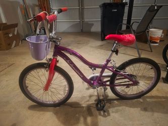 Big Kid Bike