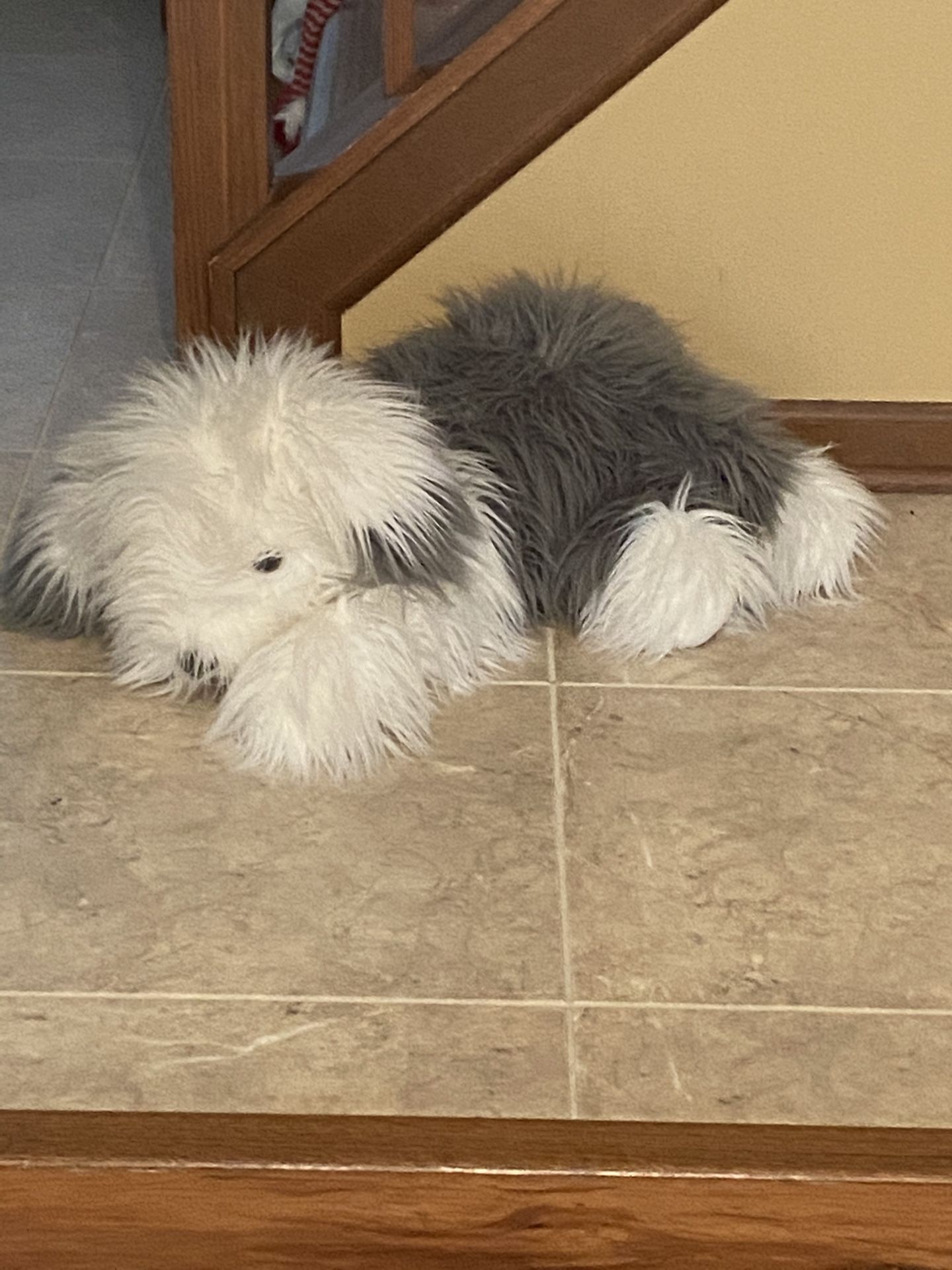 Old English Sheepdog Stuffed Animal. From FAO Schwarz