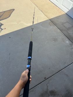6 1/2 FT Pro Sabre SD655 Conventional Rod $70 obo
