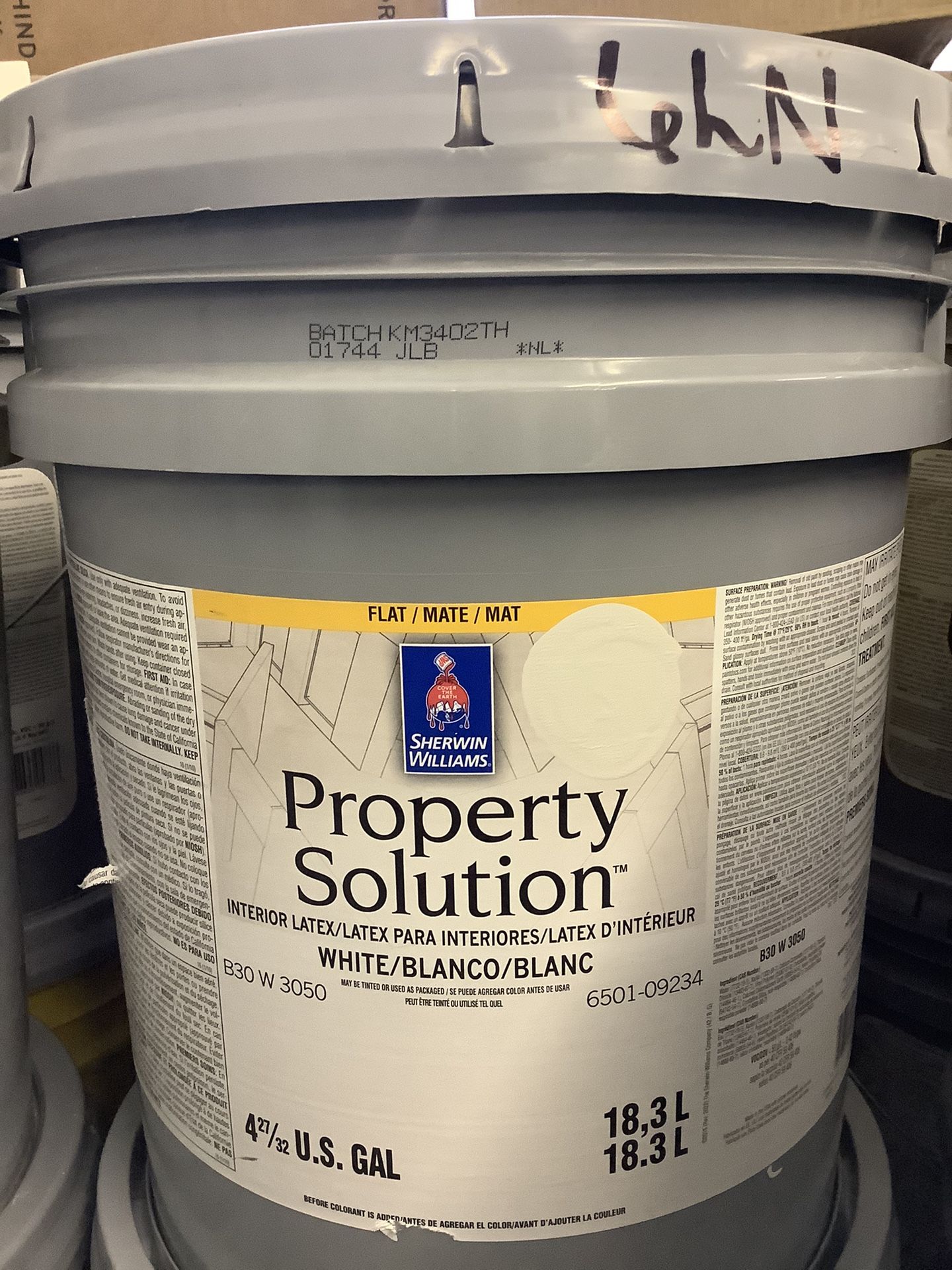 Interior Paint (Moderne White) 🎠