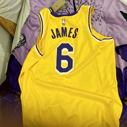 Lebron James Nike Jersey